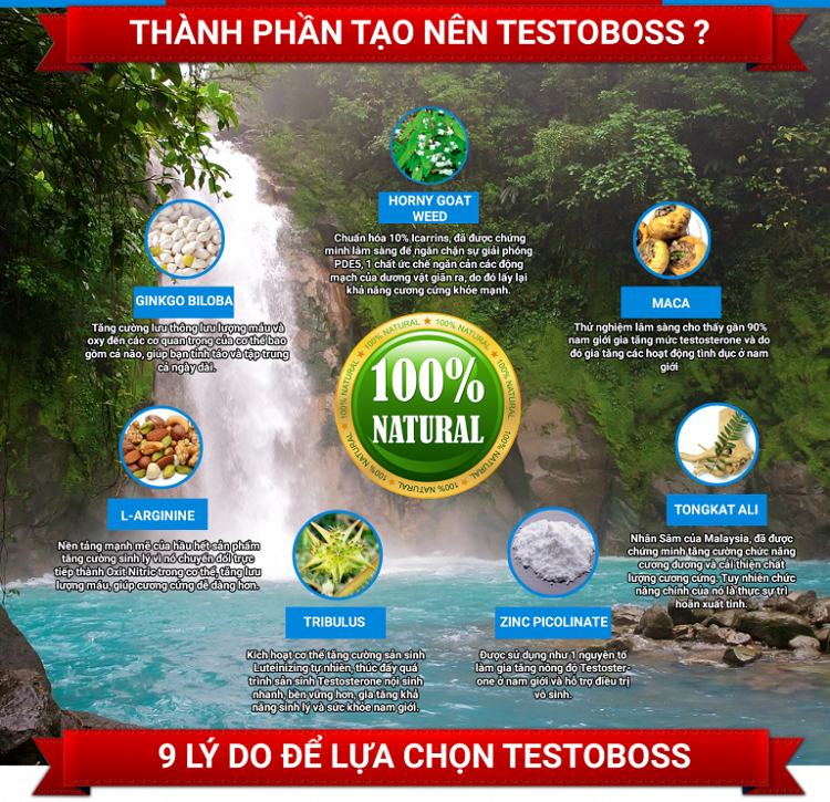 Thành phần của Testoboss