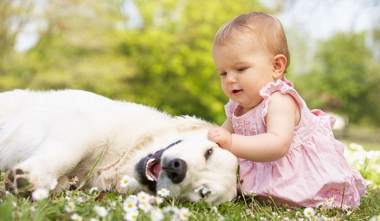 trẻ nhanh học nói