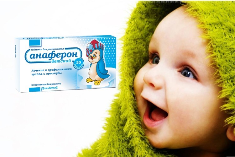 thuốc anaferon trẻ em, giá thuốc anaferon, thuốc anaferon giá bao nhiêu, thuốc anaferon cho trẻ em, cách dùng thuốc anaferon, viên uống anaferon, thuốc anaferon có tác dụng gì, hướng dẫn sử dụng thuốc anaferon, cách uống anaferon viên, uống anaferon, thuốc anaferon cách dùng, thuốc anaferon bán ở đâu, thuốc anaferon có phải kháng sinh, cách uống thuốc anaferon, tác dụng thuốc anaferon, mua thuốc anaferon ở đâu, cách dùng thuốc anaferon dạng nước, viên uống anaferon của nga hộp 20 viên, thuốc anaferon webtretho