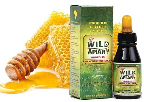 Brazil Wild Apiary