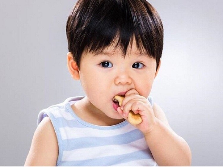 bánh ăn dặm Hipp, bánh ăn dặm Hipp cho bé 6 tháng, bánh ăn dặm Hipp có tốt không, bánh ăn dặm Hipp đức, giá bánh ăn dặm Hipp, bánh ăn dặm Hipp cho bé, bánh ăn dặm Hipp giá bao nhiêu, bánh ăn dặm Hipp mua ở đâu, bánh ăn dặm Hipp bán ở đâu, bánh ăn dặm Hipp sản xuất ở đâu, bánh quy ăn dặm Hipp, review bánh ăn dặm Hipp, cách dùng bánh ăn dặm Hipp, thành phần bánh ăn dặm Hipp, bánh ăn dặm cho bé 6 tháng của Hipp