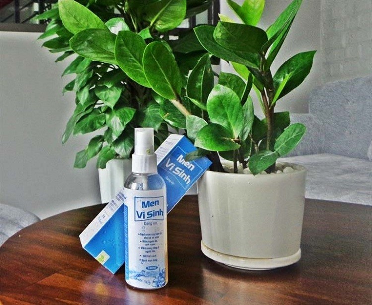 Review men vi sinh Tavida chi tiết men vi sinh Tavida