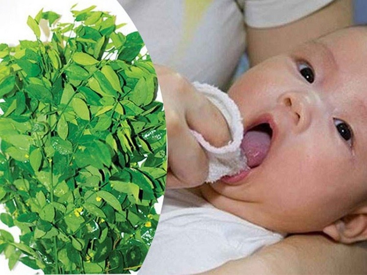 hướng dẫn rơ lưỡi cho trẻ sơ sinh đồ rơ lưỡi cho trẻ sơ sinh, cách rơ lưỡi cho bé sạch, hướng dẫn rơ lưỡi cho trẻ sơ sinh, mẹo rơ lưỡi cho trẻ sơ sinh, rơ lưỡi cho trẻ sơ sinh bằng nước gì, cách rơ sạch lưỡi cho trẻ sơ sinh, hướng dẫn cách rơ lưỡi cho trẻ sơ sinh, cách rơ lưỡi sạch cho trẻ sơ sinh, rơ lưỡi cho trẻ sơ sinh như thế nào, cách làm sạch rơ lưỡi cho trẻ sơ sinh, cách lấy rơ lưỡi cho trẻ sơ sinh, cách rơ lưỡi cho trẻ sơ sinh bằng denicol, cách chữa rơ lưỡi cho trẻ sơ sinh