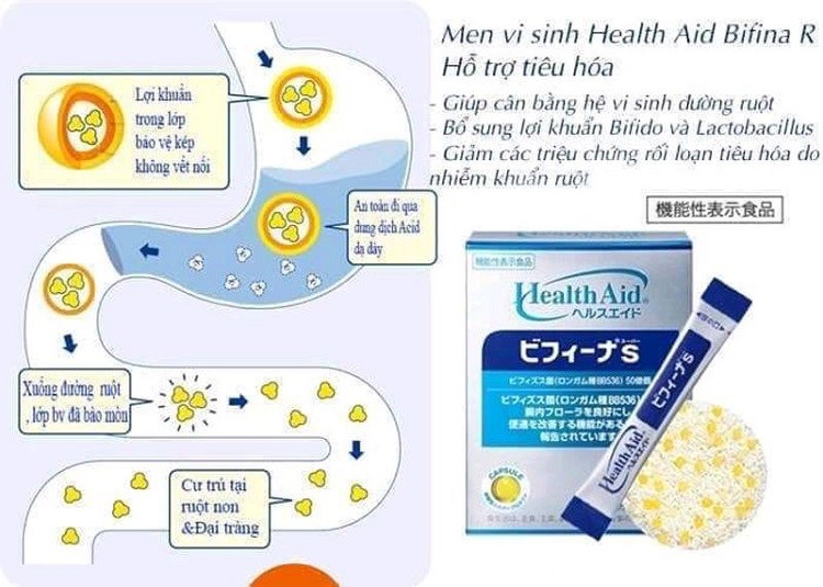 Review men vi sinh Bifina chi tiết men vi sinh Bifina , review men vi sinh Bifina