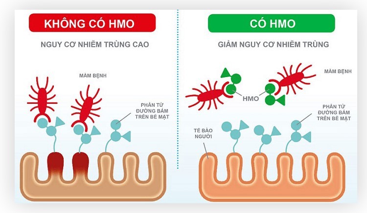 sữa Optimum Gold 1 có tăng cân không, sữa Optimum Gold 2 có tăng cân không, sữa Optimum cho trẻ sơ sinh có tốt không, sữa Optimum Gold 2 900g giá bảo nhiều, sữa Optimum Gold 2 900g giá bao nhiều, sữa Optimum Gold 4 có tốt không, sữa Optimum Gold 3 có tăng cân không