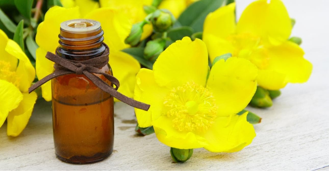 tinh dầu hoa anh thảo hỗ trợ mang thai, tinh dầu hoa anh thảo giúp thụ thai, uống tinh dầu hoa anh thảo nhanh có thai, tinh dầu hoa anh thảo tăng khả năng thụ thai webtretho