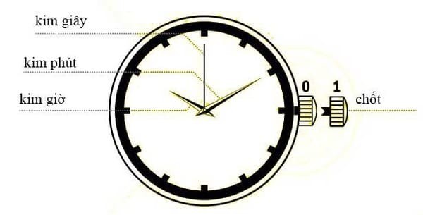 cách chỉnh giờ đồng hồ seiko radio controlled, cách chỉnh giờ đồng hồ seiko radio wave control solar, cách chỉnh giờ đồng hồ seiko radio wave control