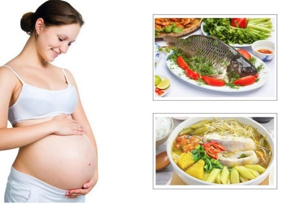 cách nấu cháo cá cho mẹ bầu, cách nấu cháo cá chép cho mẹ bầu, cách nấu cháo cá chép cho mẹ sau sinh